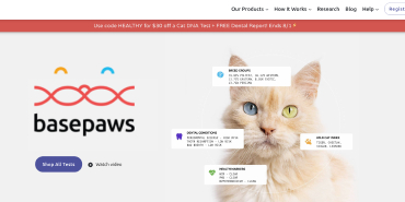 Basepaws Review